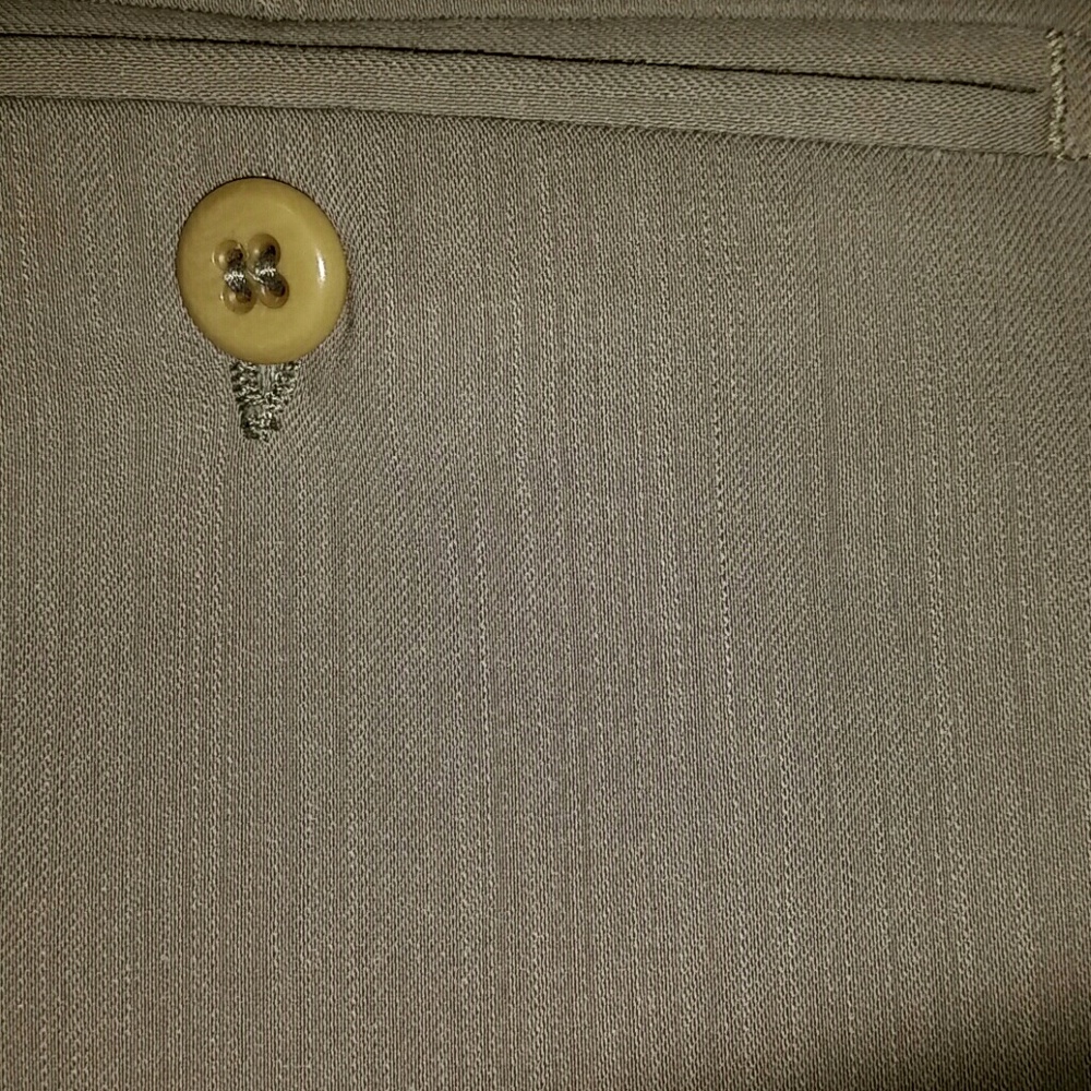 36x30 Zanella Benny in Light Grey. Pants/Trousers.